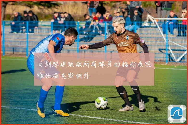 马刺球迷致敬所有球员的精彩表现唯独福克斯例外